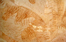 Floor Inlay - Courtesy of Joe Valasek