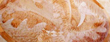 Woodscape Designs