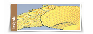 ArtCAM insignia