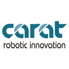 More about Carat